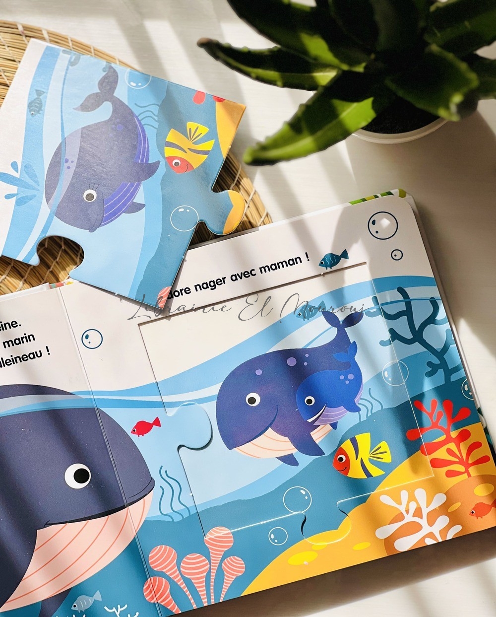 Les animaux de la mer - Amuse toi et construit ton puzzle - Tunisie