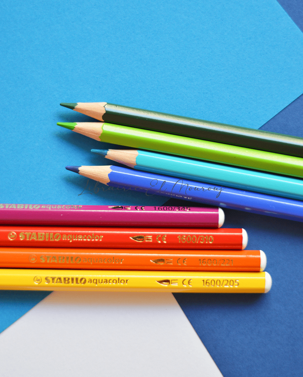 Stabilo Aquacolor Arty – 12 crayons aquarellables vibrants