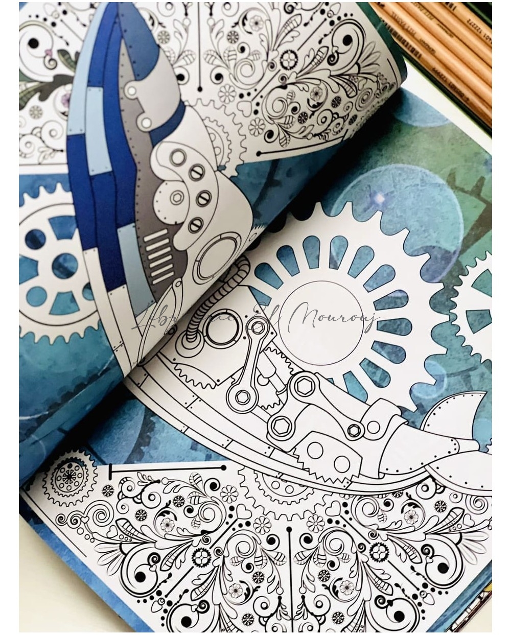 Coloriage Mecanicolor - Les animaux | Livre de coloriage jeunesse