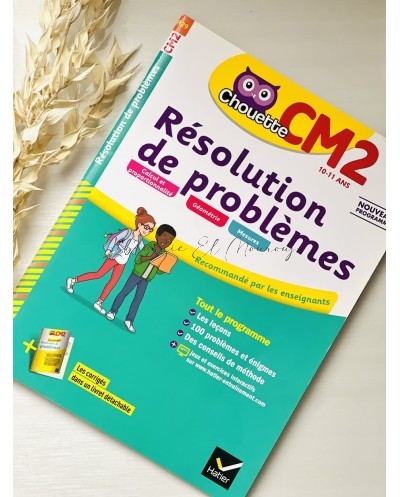Résolution de problèmes CM2