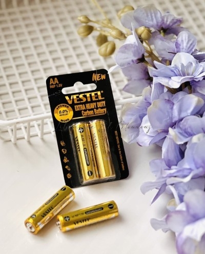 Paquet 2 Piles AA Vestel