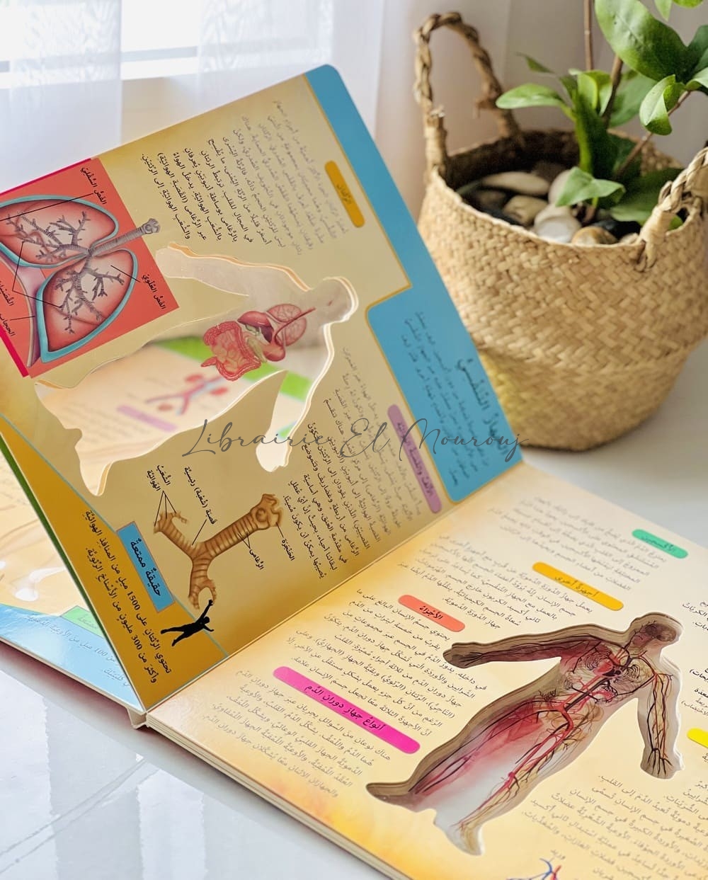 كتاب اكتشف الجسم البشري ثلاثي الابعاد