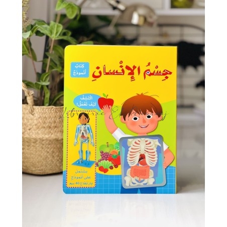 جِسْمُ الإِنْسانِ