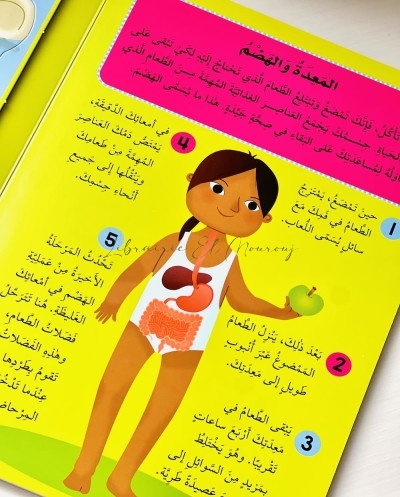 جِسْمُ الإِنْسانِ