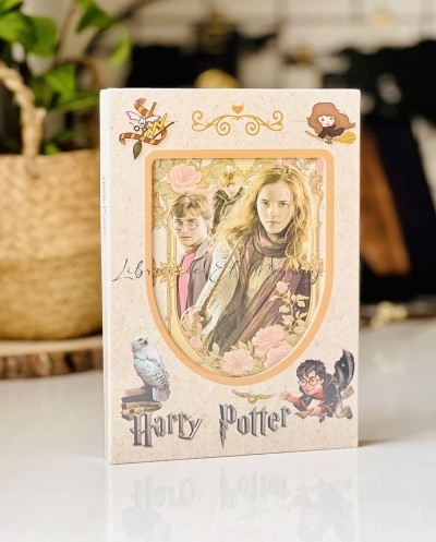 Blocs Notes Harry Potter