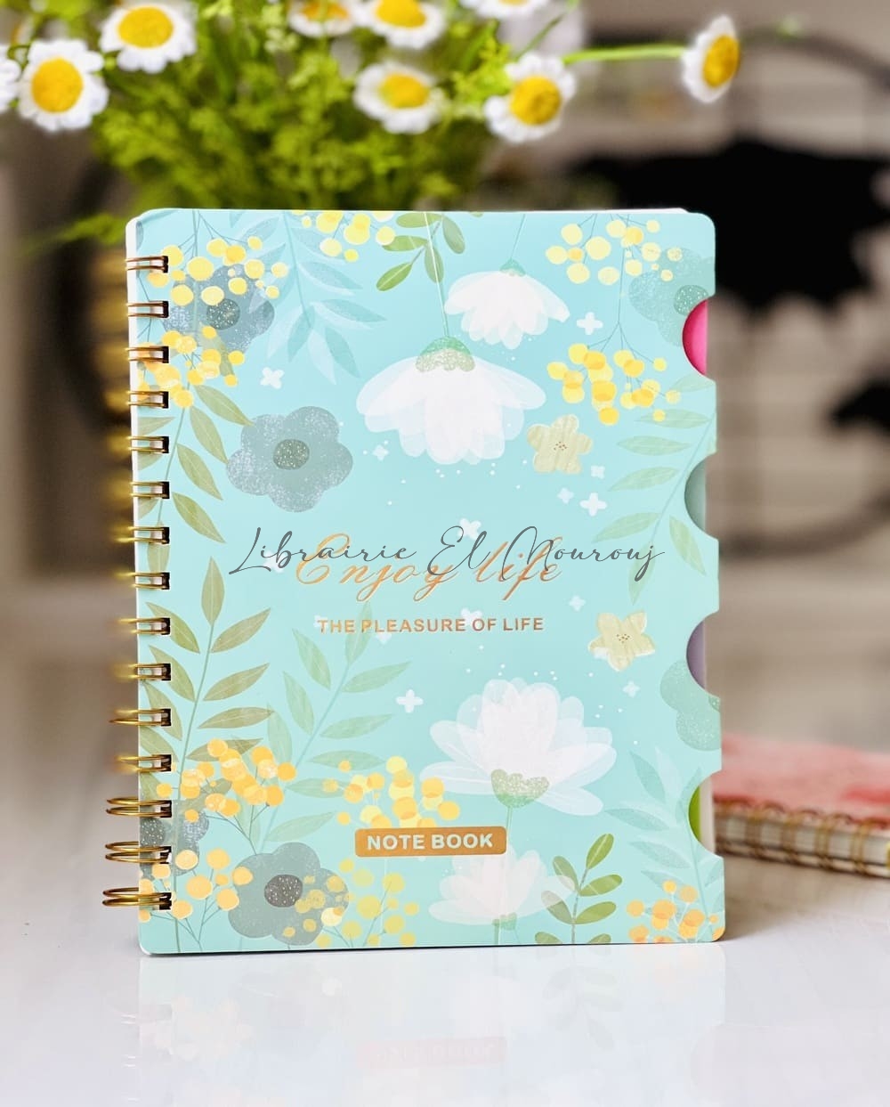 Notebook à Spirales Pastel