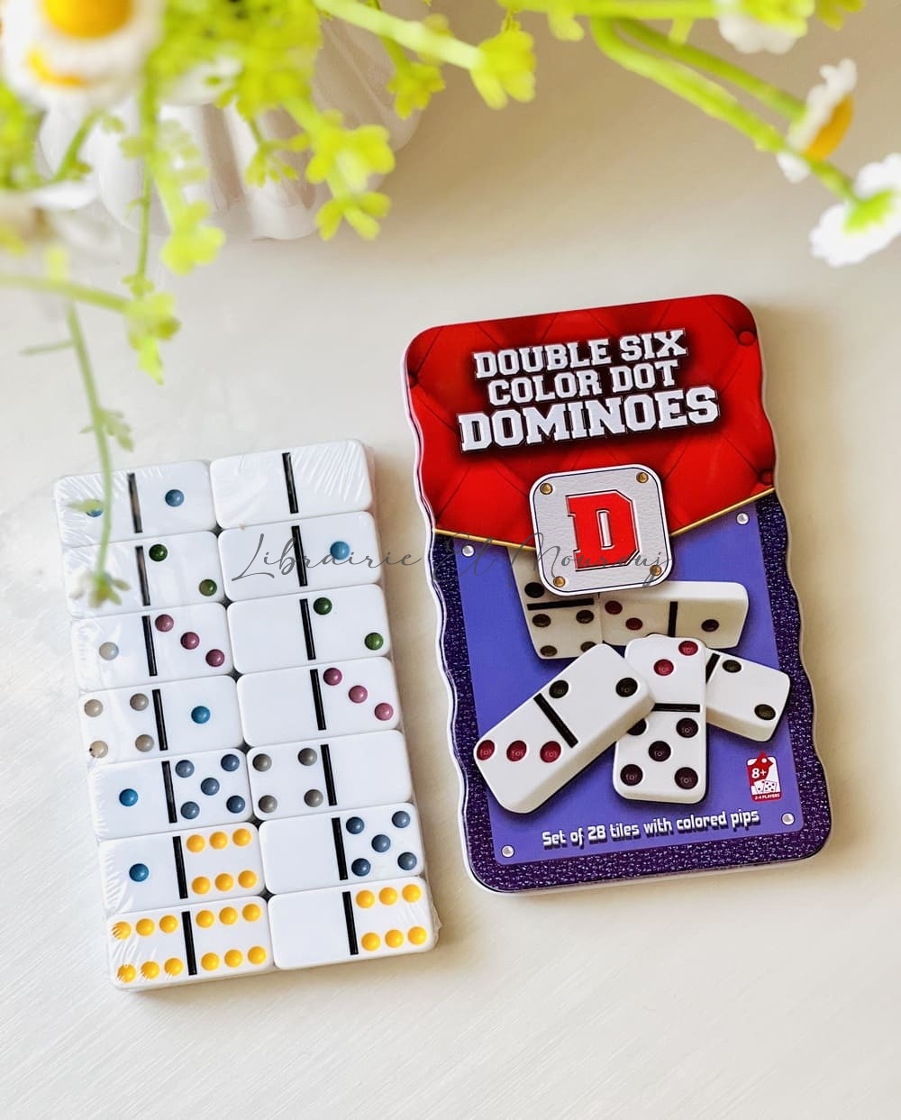 Jeu de Domino coloré