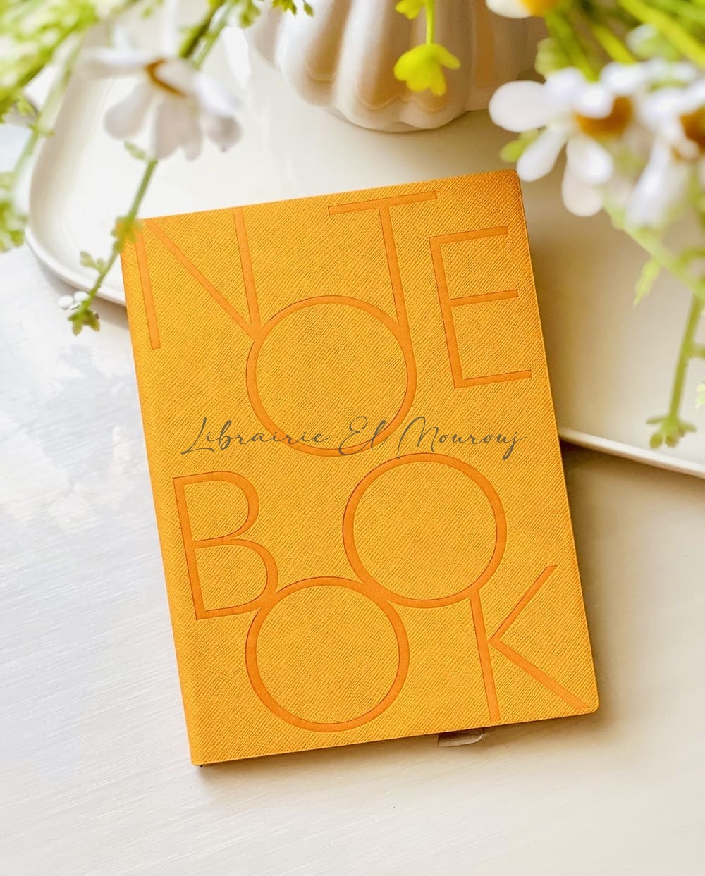 Notebook Colorful