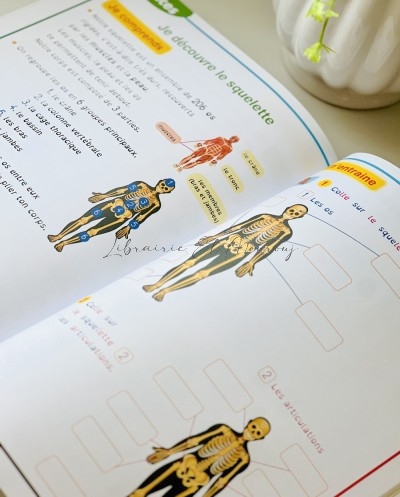 Mon CE Facile 7-8 Ans | Cahier d'Activités Scolaires Enfant