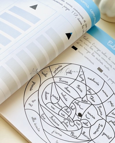 Mon Grand Cahier Montessori de Grammaire | Cahier Éducatif Enfant