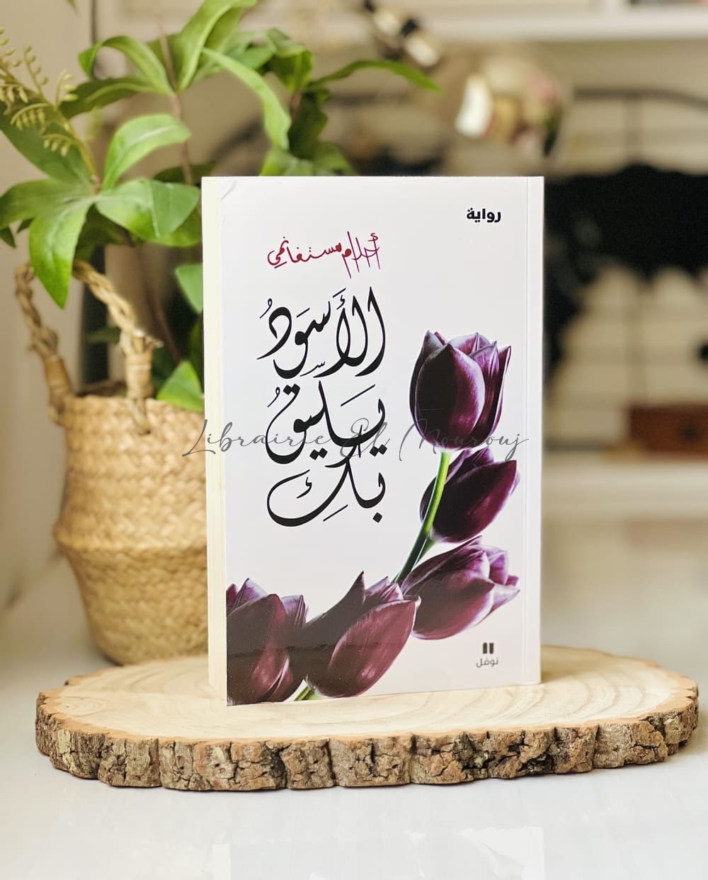 الأسود يليق بك أحلام مستغانمي | رواية عربية رومانسية