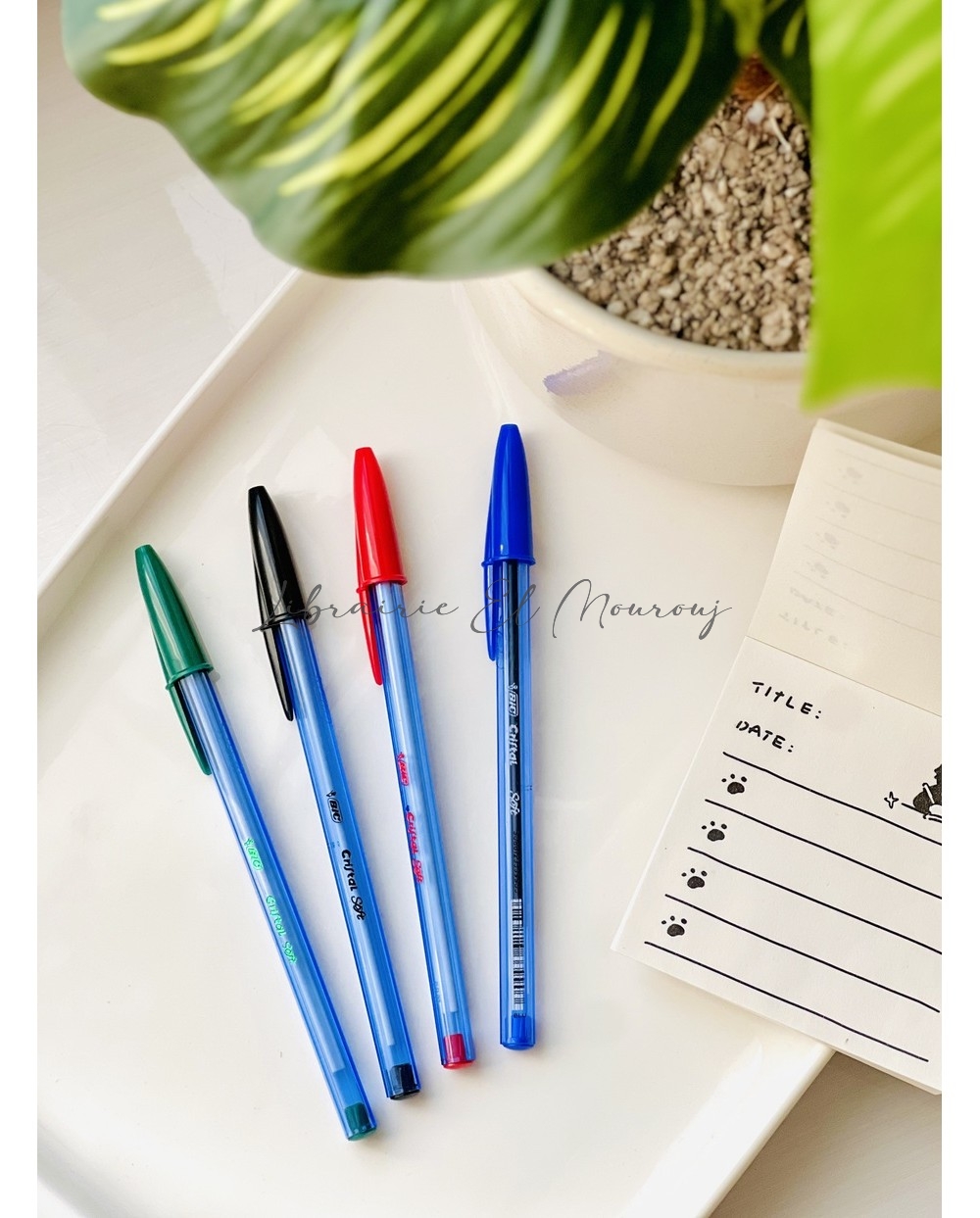 Stylo BIC Soft | Vente à la Pièce | Prix Tunisie