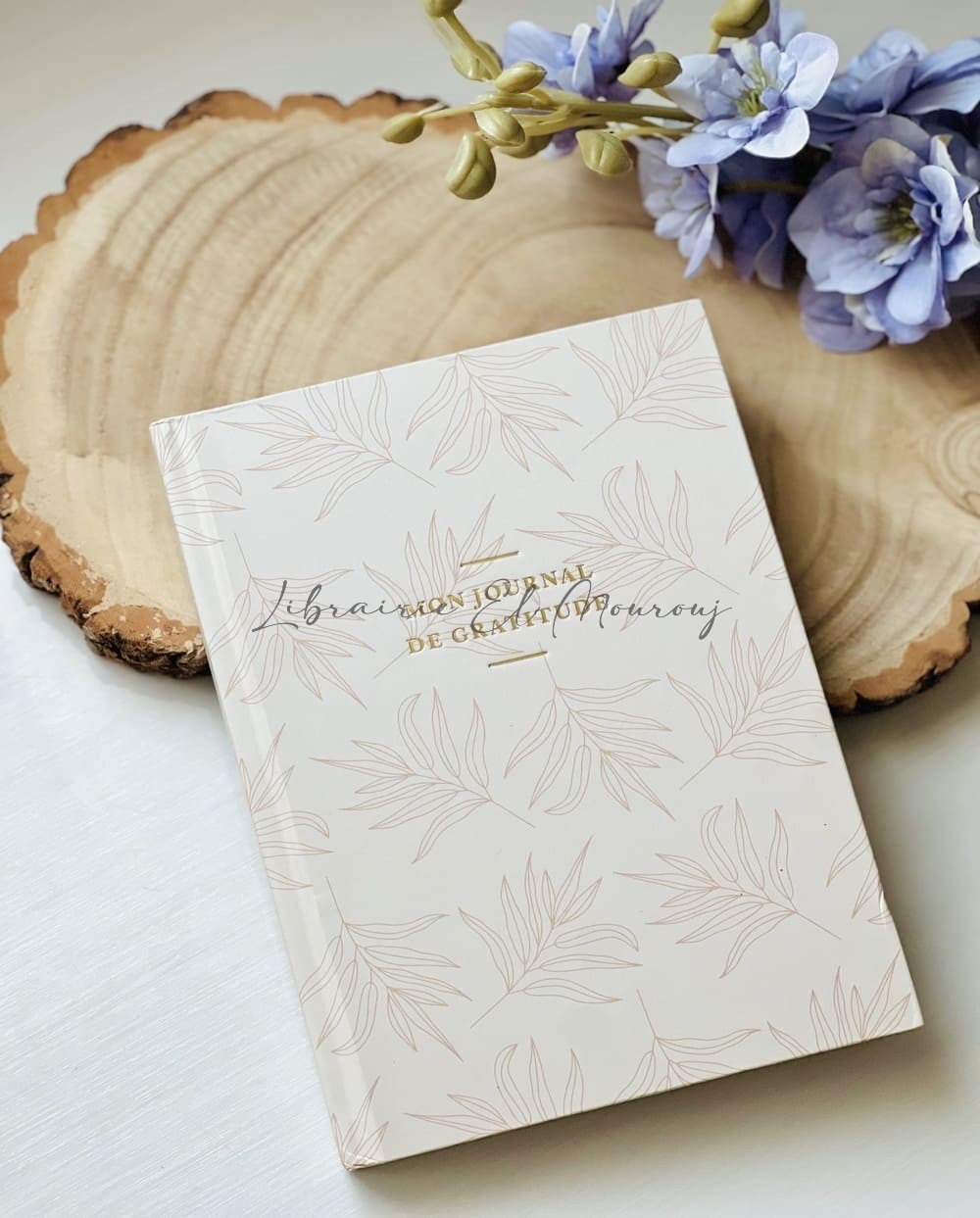 Mon Journal de Gratitude