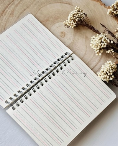 Mini-Carnet à Spirales A6