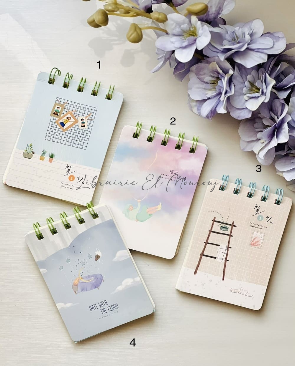 Mini-Carnets Illustrés