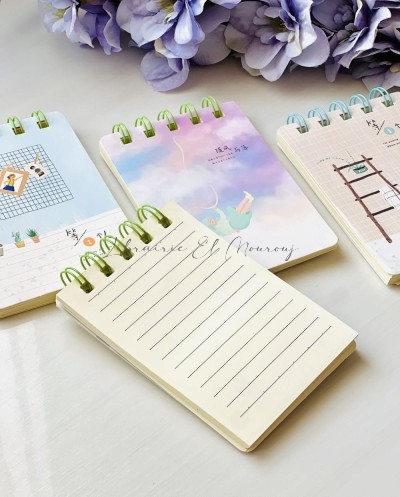Mini-Carnets Illustrés