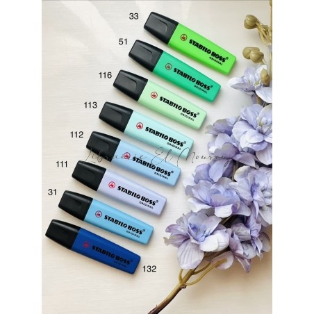 Surligneurs Pastel Vert & Bleu Stabilo Boss | El Mourouj