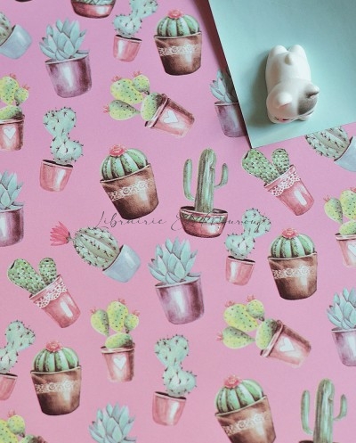 Rouleau Papier Cadeaux Cactus Rose | Librairie El Mourouj