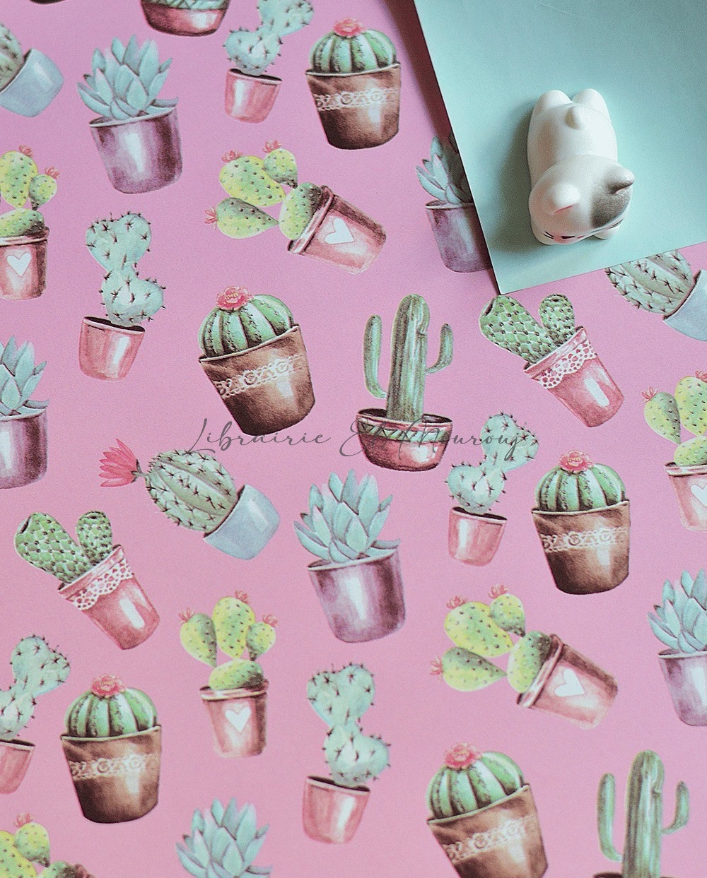 Rouleau Papier Cadeaux Cactus Rose | Librairie El Mourouj